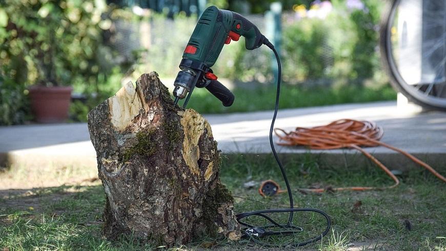 Remove tree stump