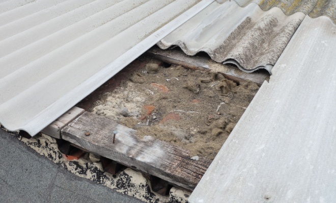 asbestos shed roof