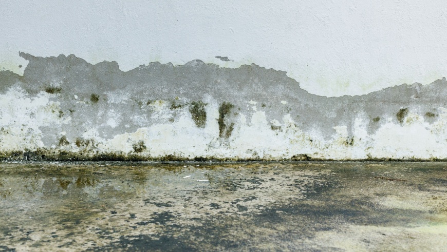 rising damp on wall