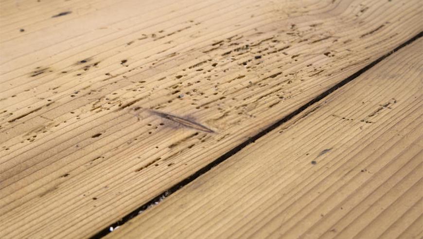 The Cost To Treat Woodworm
